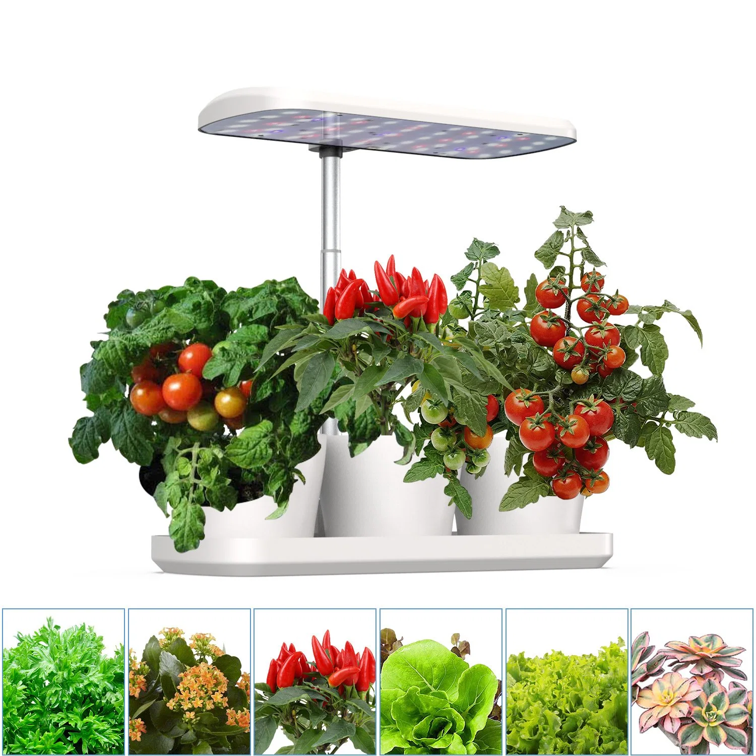 Tabla de metal plástico Jardín LED cultivar hortalizas flores en el interior de las luces de los niños nuevo espectro