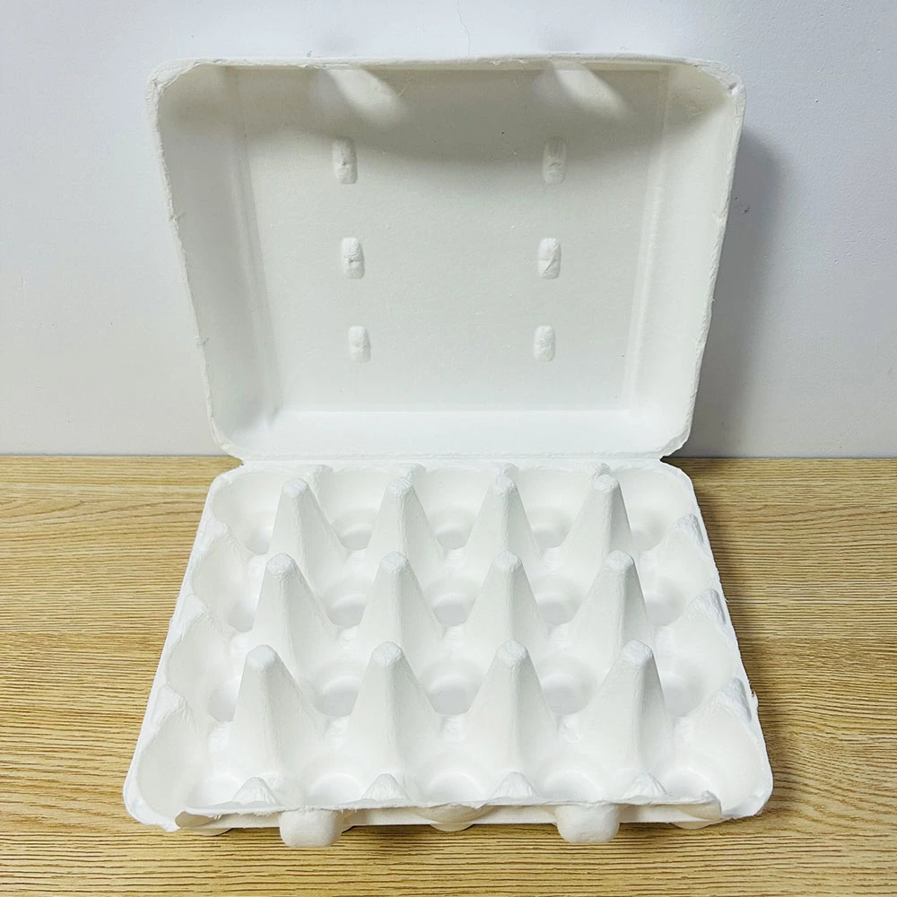 Sugar Cane Pulp Egg Tray 20PCS