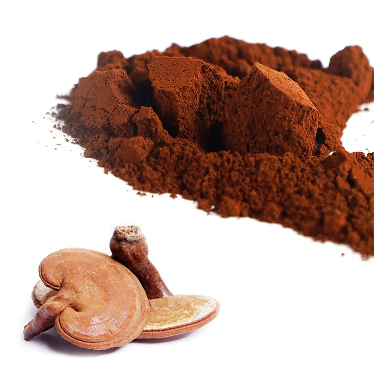 Ganoderma Capsules Price Reishi Extract Cultivo De Ganoderma