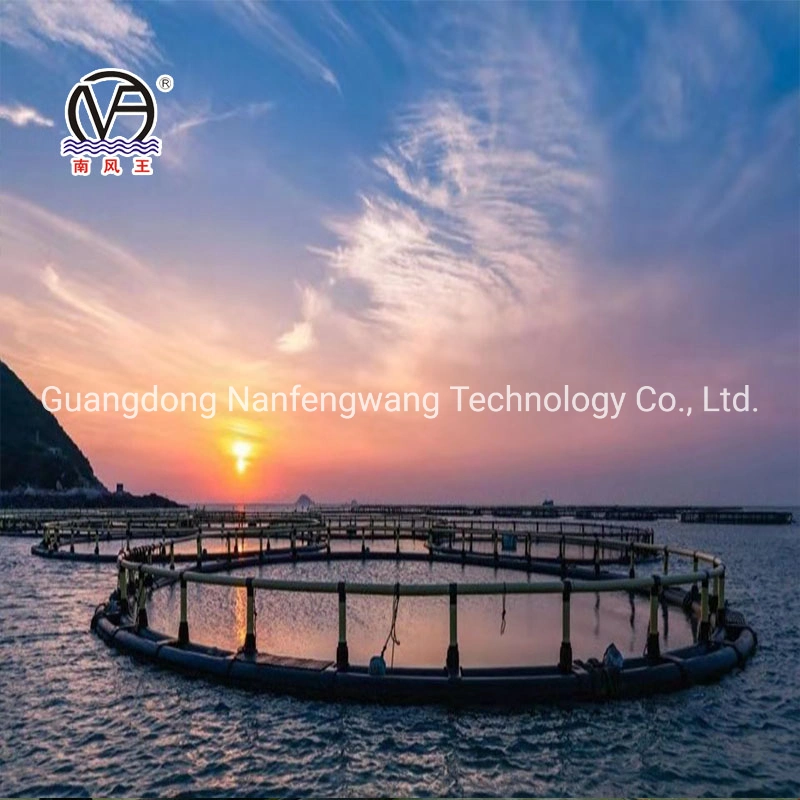 Simple Round Floating Cage Lake Breeding Equipment Manufacturer