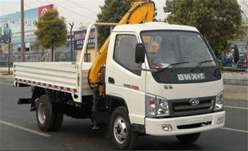 Fournisseur HBQZ Chine 3 tonnes mini grue de levage montés sur camion