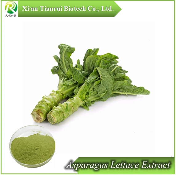 Manufacturer Natural Asparagus Lettuce Extract Powder