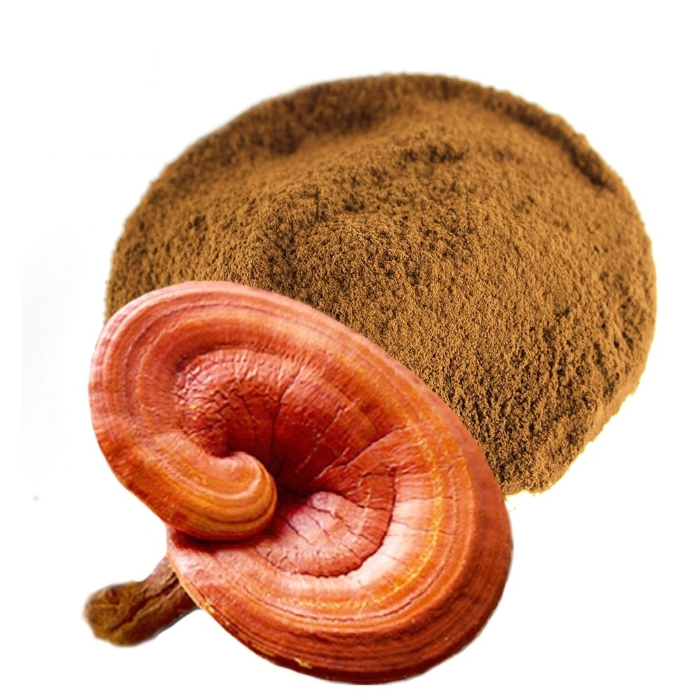 OEM Reishi Mushroom Spore Powder for Improve Immunity System