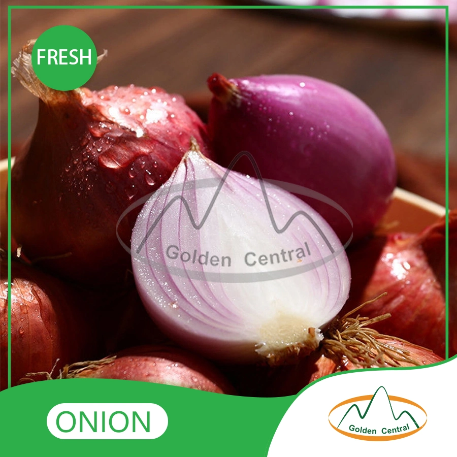 Best Quality Wholesale/Supplier Cheap Price Fresh Yellow Onion