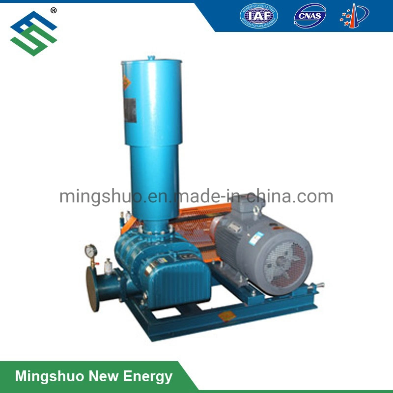 Belt Drive Roots Blower for Gas Delivery to Incinerator