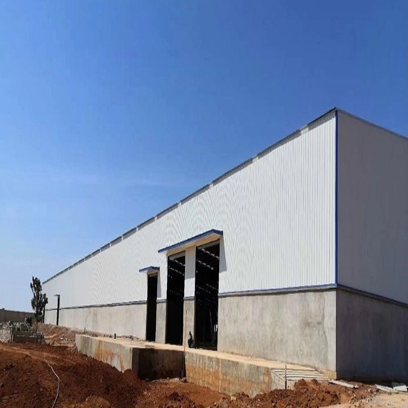 Cold Storage Prefabricated Steel Structure Warehouse Freezer