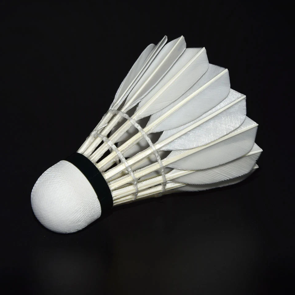 Wholesale/Supplier Professional Outdoor Shuttlecock Badminton for Practise