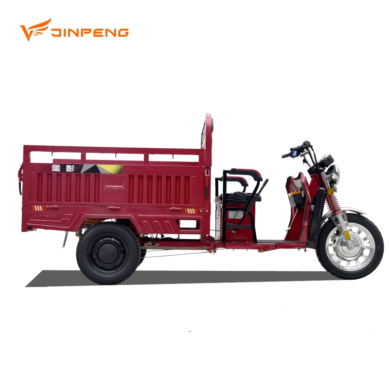 Electric Cargo Tricycle 1500W Motor Lead-Acid Battery SKD CKD Jinpeng