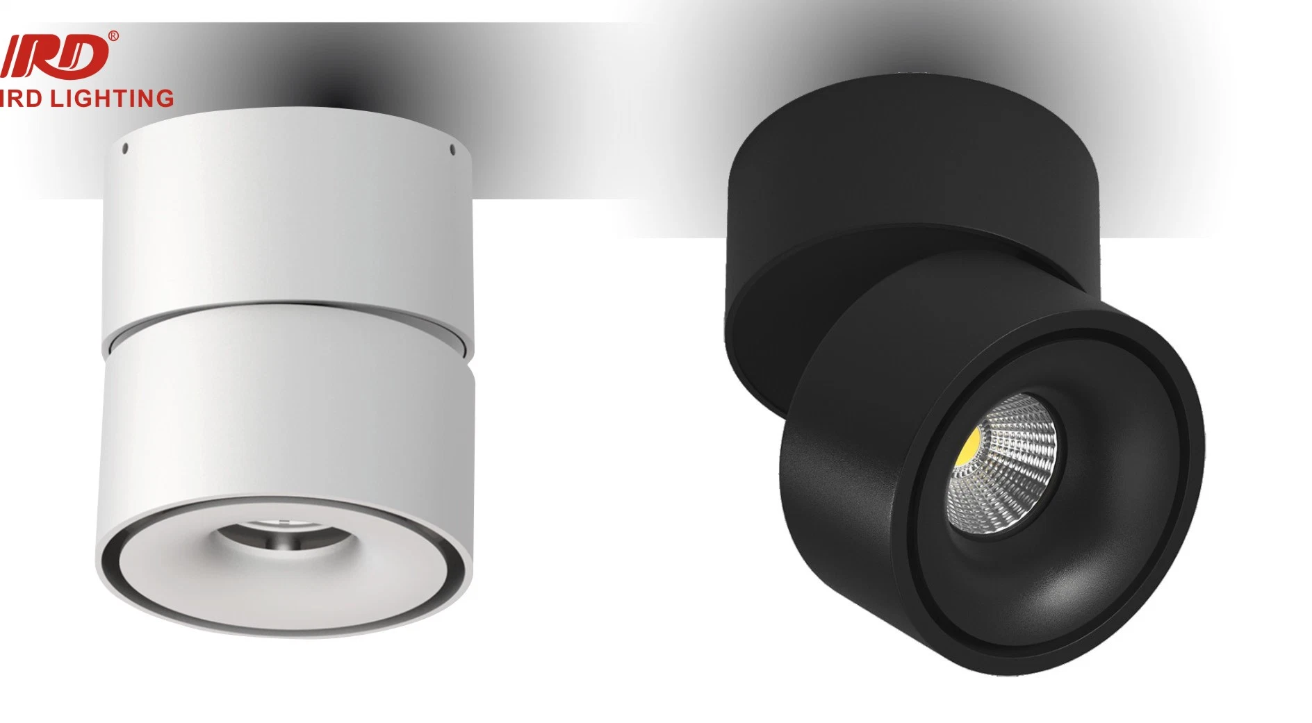 Adjustable and Rotatable Ceiling Surface Include Driver COB LED Recessed Downlight