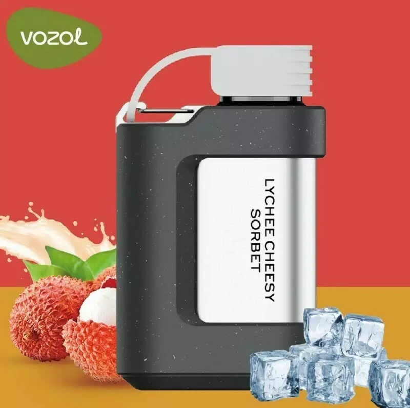 Europe USA UAE Well-Known Brand Vozol Disposable/Chargeable Vape Pod Gear 5000 7000 10000 Puffs Alien 2500 4000 Star Vixn Sopro 15K Wholesale/Supplier I Vape