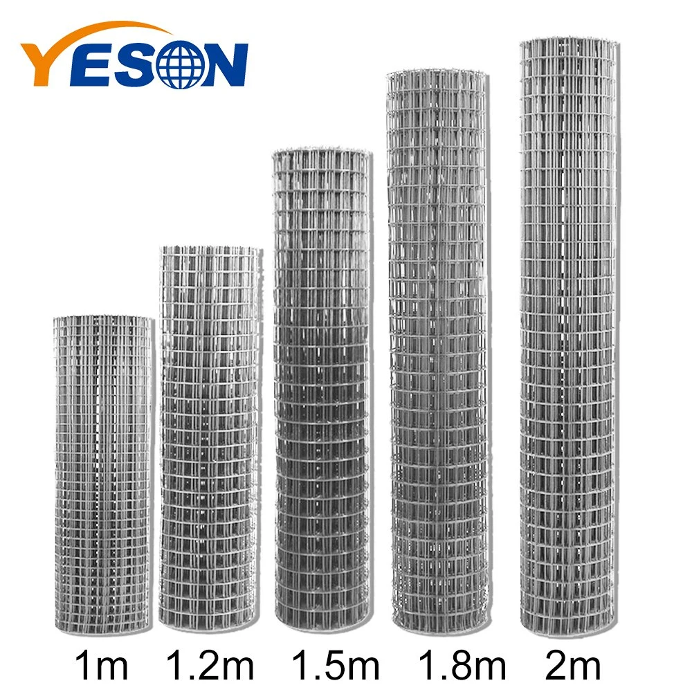 2X2 3X3 4X4 6X6 10X10 Galvanized Welded Wire Mesh PVC Coated Wire Mesh