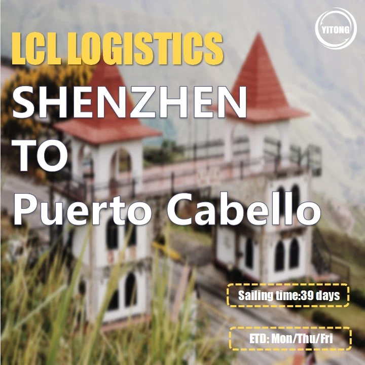 LCL Sea Shipping From Shenzhen to Caracas La Guaira Venezuela