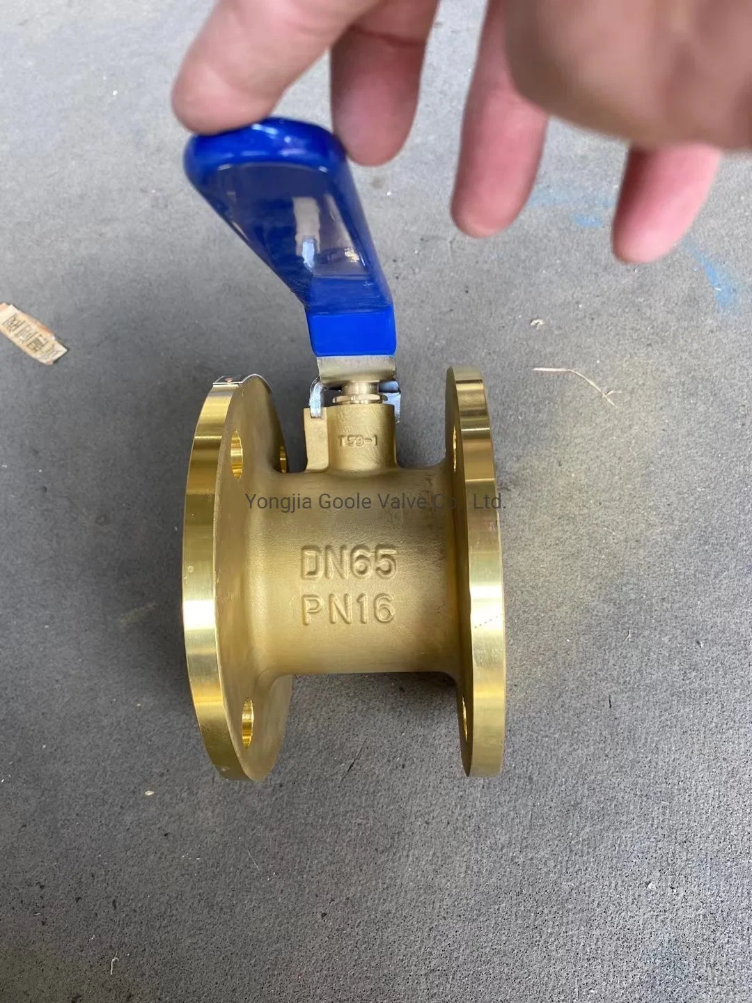 H59/B62/Ab2/Bc6/C83600/C84400/C95800 Brass/Bronze/Gunmetal Flanged Split 2 PCS Body Design Floating Ball Valve