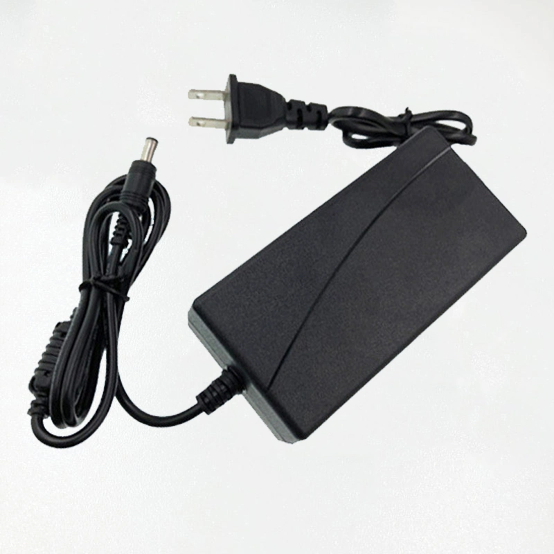 OEM 12V/18V/19V/24V/45W/65W/90W/100W/125W/200W Lithium Battery Laptop Charger with CE