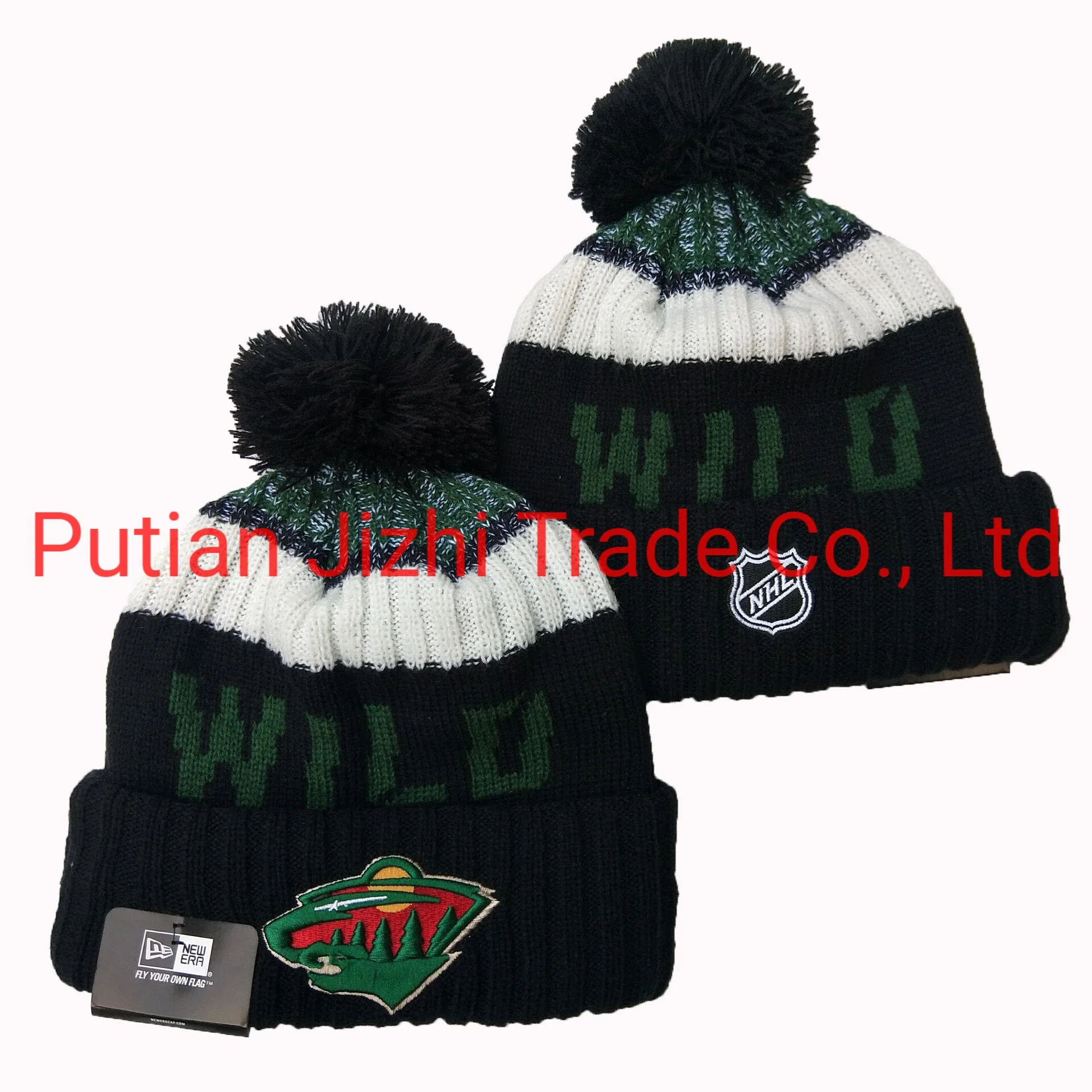 Wholesale/Supplier Beanies Hats Tampa Bay Lightning Knit Winter Cap Dalls Stars Florida Panthers with POM