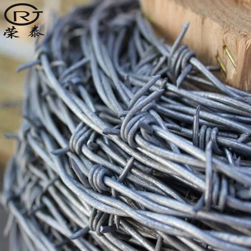 Double Barbed Wire Fencing 3D Metallic Fence Wires with Sharp Edge