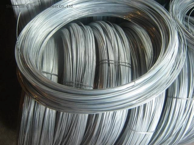 Hot Dipped/Electric Galvanized Mild Steel Binding Wire/Low Carbon Wire