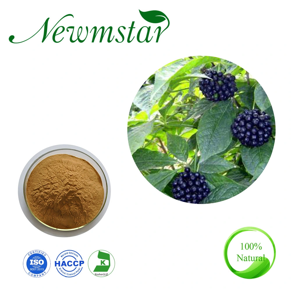 Factory Supply Siberian Ginseng Extract/Acanthopanax Senticosus Extract Eleutherococcus Extract