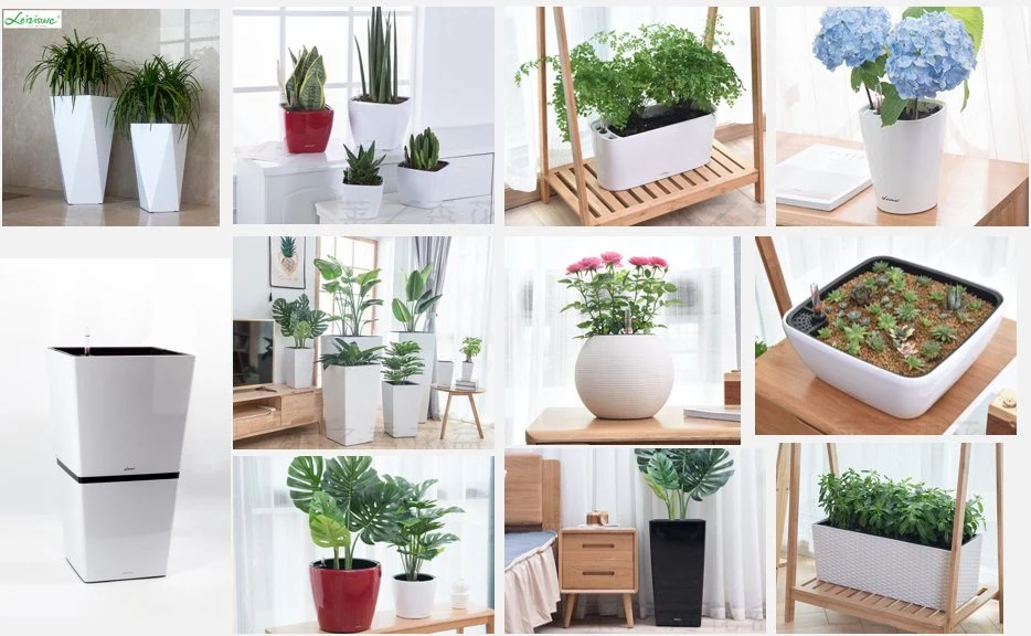 Eco-Friendly Pots de fleurs suspendus avec trou de drainage 3 crochets en métal Panier suspendu rond pour plantes d'intérieur (DP-20-1)