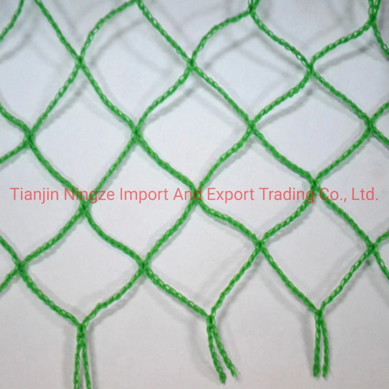 Anti Bird Protection Net 100% Virgin HDPE White Anti Bird Net Garden Net Fruit Trees Factory High Quality