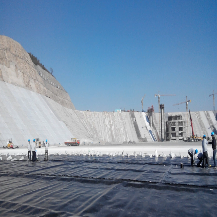 Geomembrana HDPE resistente al agua materiales de construcción para la granja de la Sal