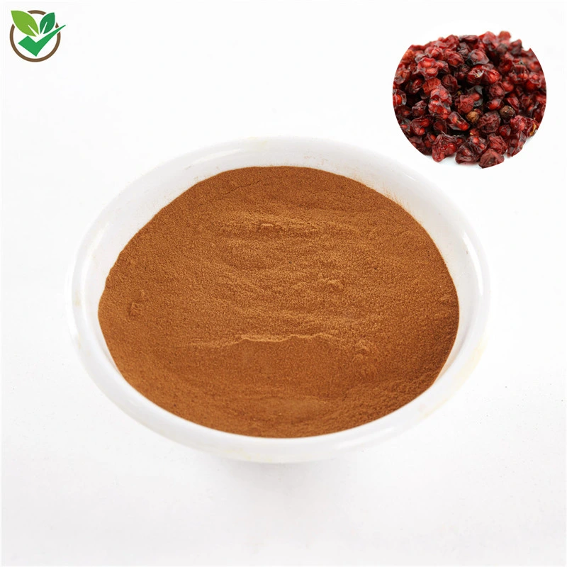 Wholesale Schisandra Extract Schisandra Berry Schisandra Extract Powder