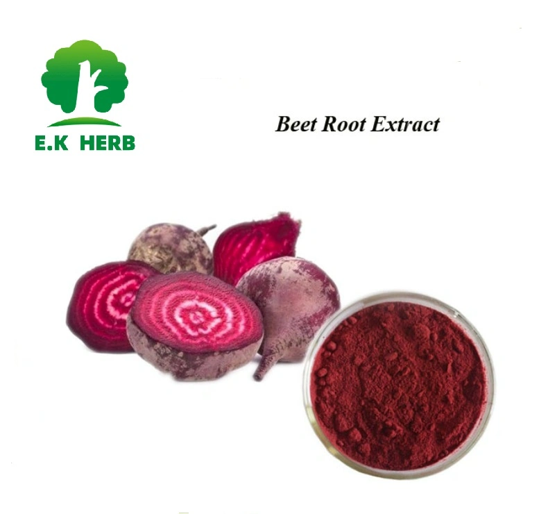 E. K Herb 100% Natural Plant Extract Factory Supply Food Grade High Quality Natural Beet Root Extract Betaine Beet Root Extract for Lowering High Blood Pressure