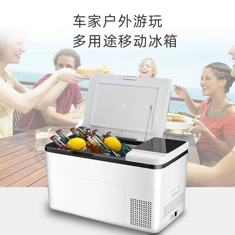 Горячая распродажа Автохолодильник 30L Мини ледяной холодильник с морозильной камерой Новый дизайн