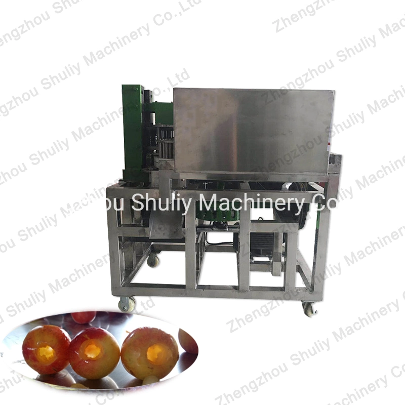 Cherry Lochfraß Maschine Getrocknete Datteln Absaat Maschine Plum Seed Entfernen Maschine