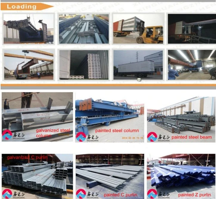 Galvanized Steel Structure / Steel Frame Building (XGZ-SSW 217)