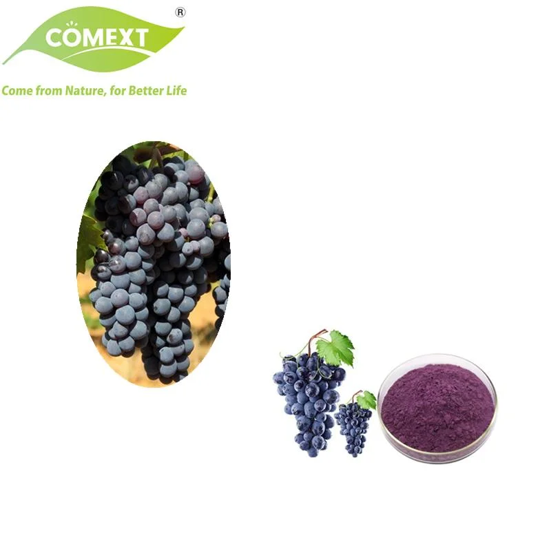 Fabricante de Comext Almacén de EE.UU. el 100% Natural Soluble en agua con zumo de uva en polvo Freeze-Dried fruta de uva en polvo