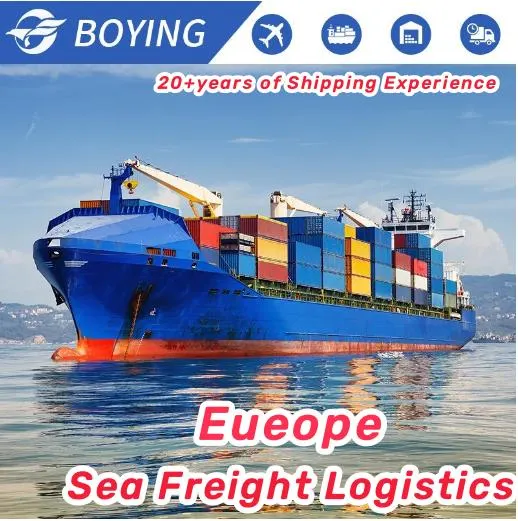 20 Years Shipping Company Sea Freight Forwarder Shpping Agent From China to Switzerland/Czech/Slovakia/Poland/Liechtenstein/Hungary/Germany/Austria