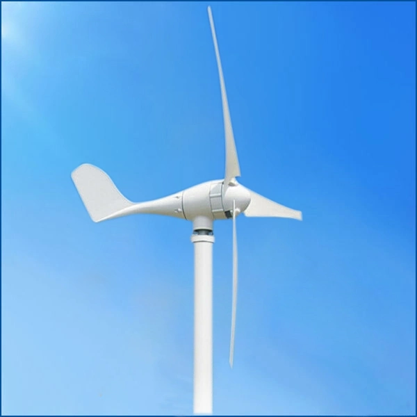 Chinese 600W Wind Power Generator Price with Charge Controller