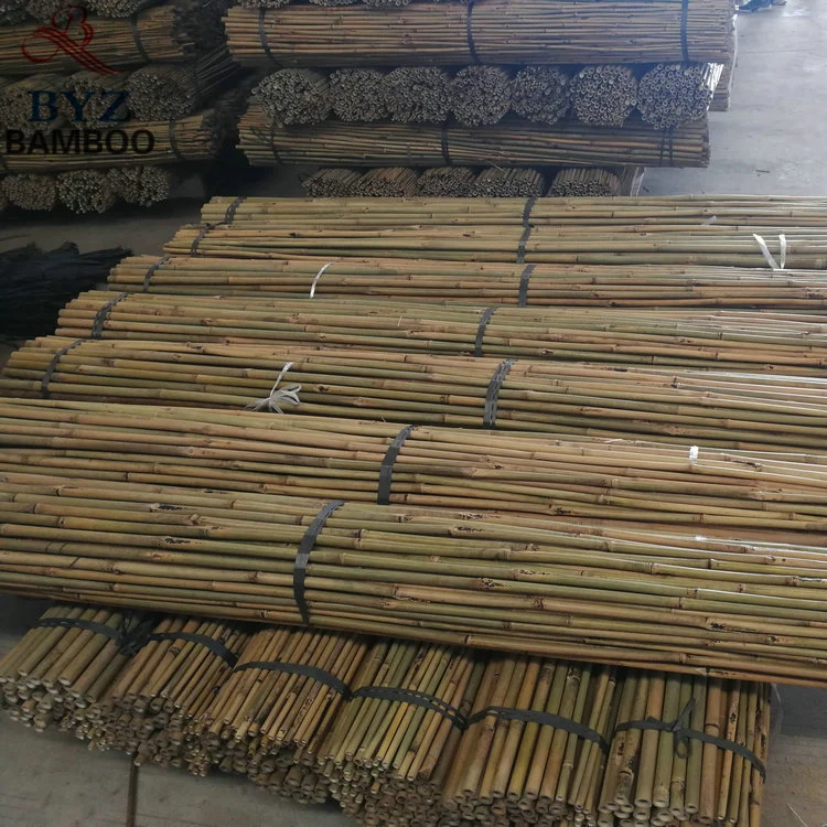 China Cheap Tonkin Natural Bamboo Poles