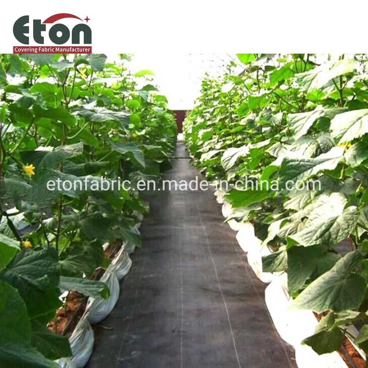 105 Г/М2 Black или Green Agricultural PP Woven Weed Control для Сад