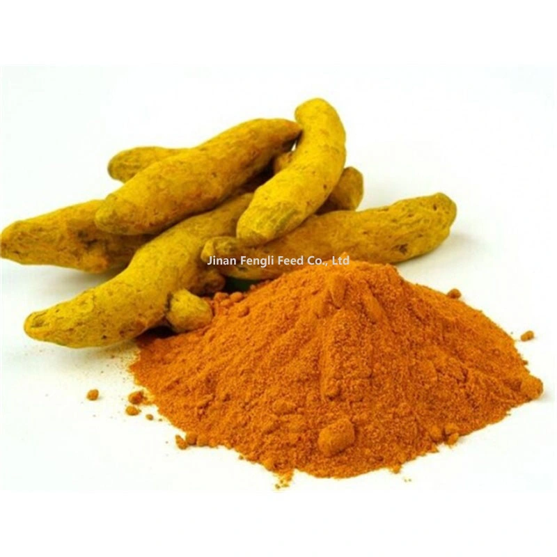 Altamente calificado polvo de jengibre amarillo seco suplementos de polvo de cúrcuma Curcumin 95% Rellenos de alimento de raíz cúrcuma Extracto de cúrcuma polvo de cúrcuma polvo de cúrcuma