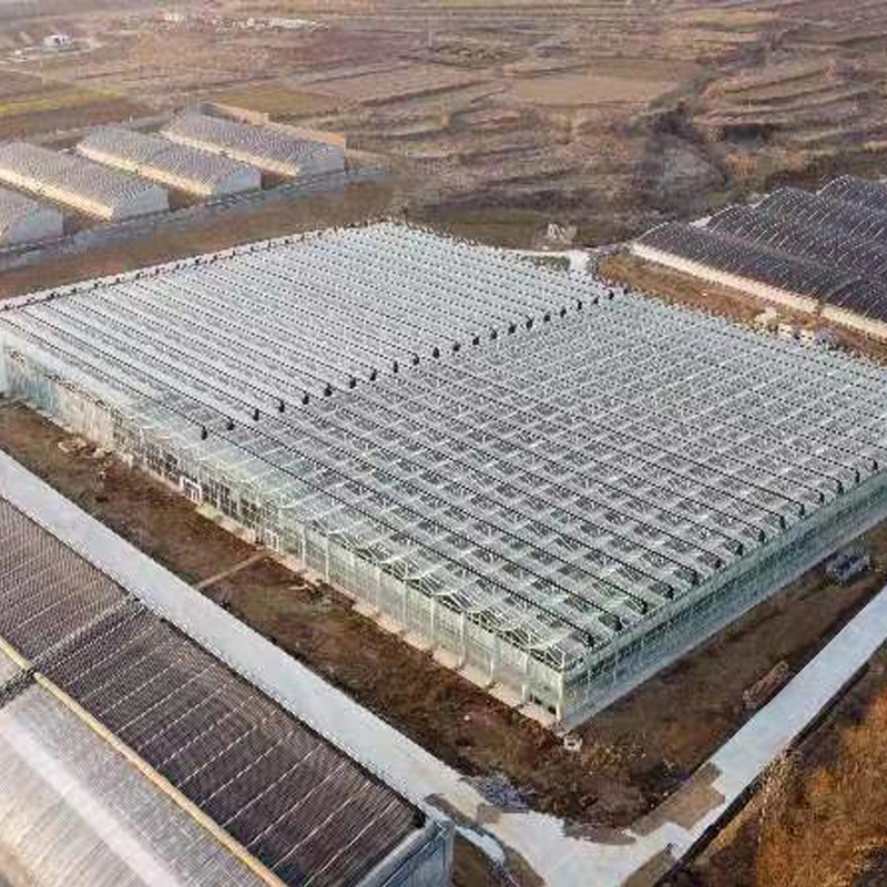 Customized High Permeability Sealed Galvanized Steel Glass Covered Greenhouse with Farm Irrigation System