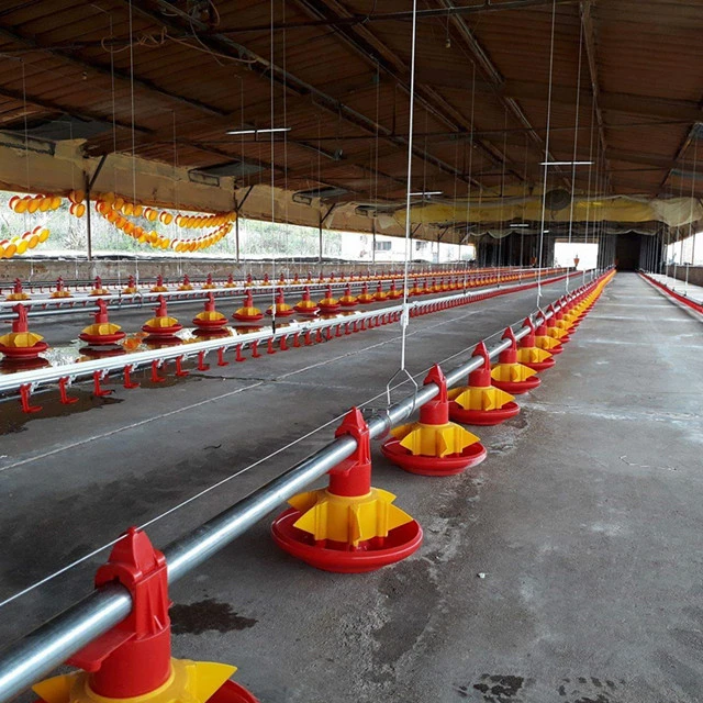 Vente en gros poulet à griller automatique ferme batterie cage volaille matériel agricole