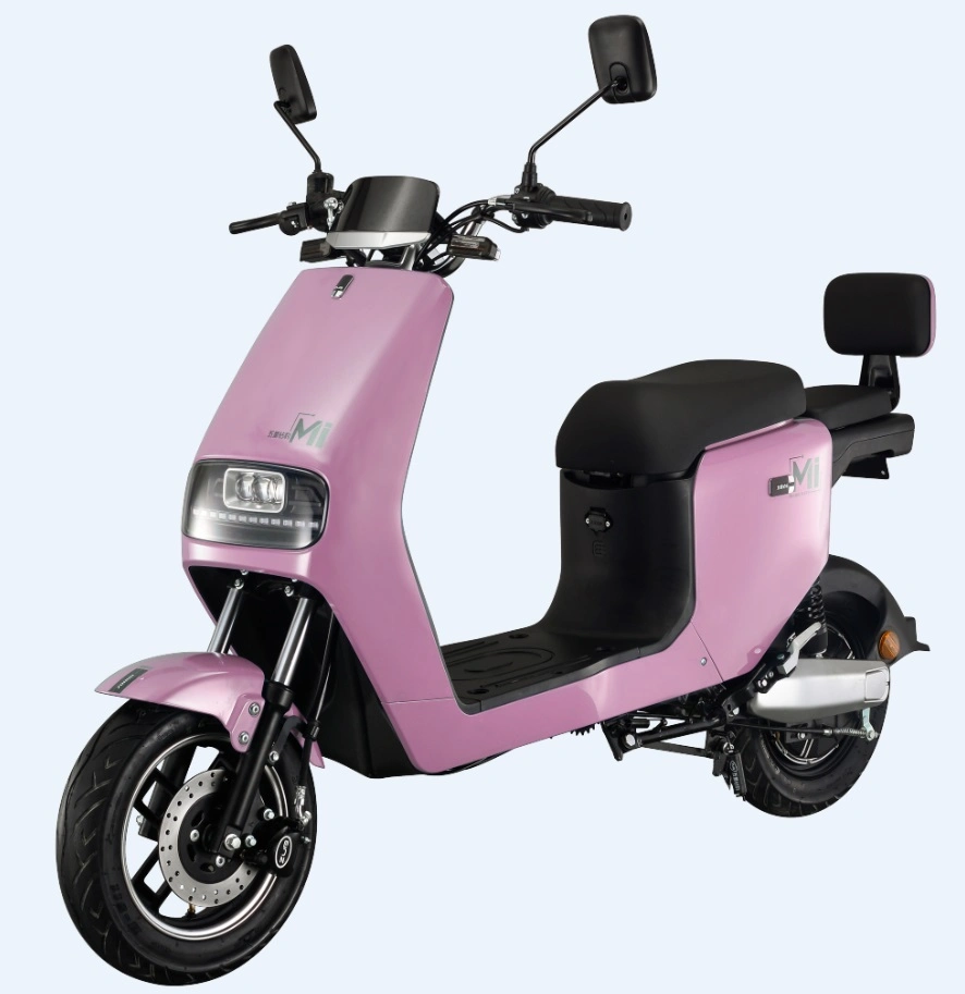 Pequeño scooter de 48V 800W20Ah batería de plomo ácido bicicleta eléctrica para mujer