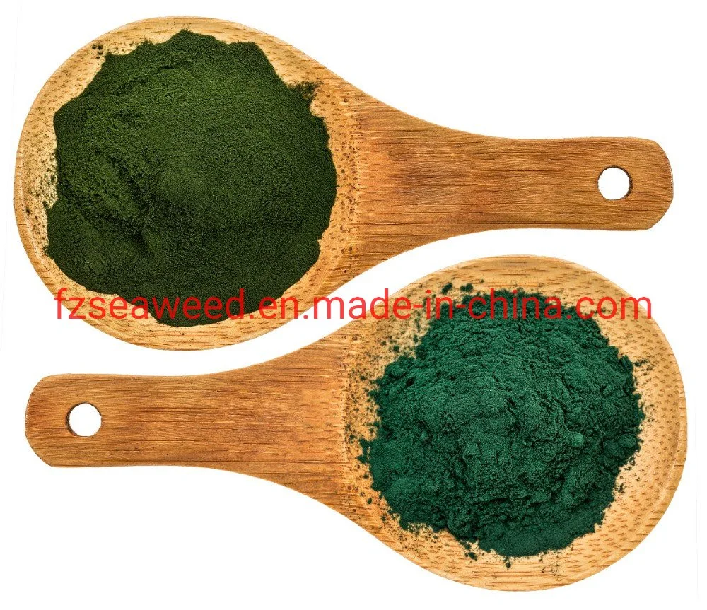 Healthy Sea Product High Protein Spirulina Powder Pill for Food