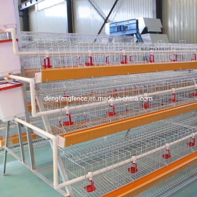 Chicken Wire Mesh a Type Egg Layer Battery Cage for Poultry Equipment