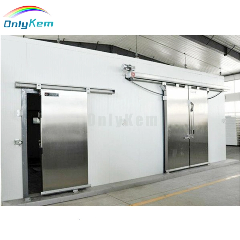 Customized Refrigeration Equipment Walk in Freezer Freezing Storage Cold Room for Fish Factory