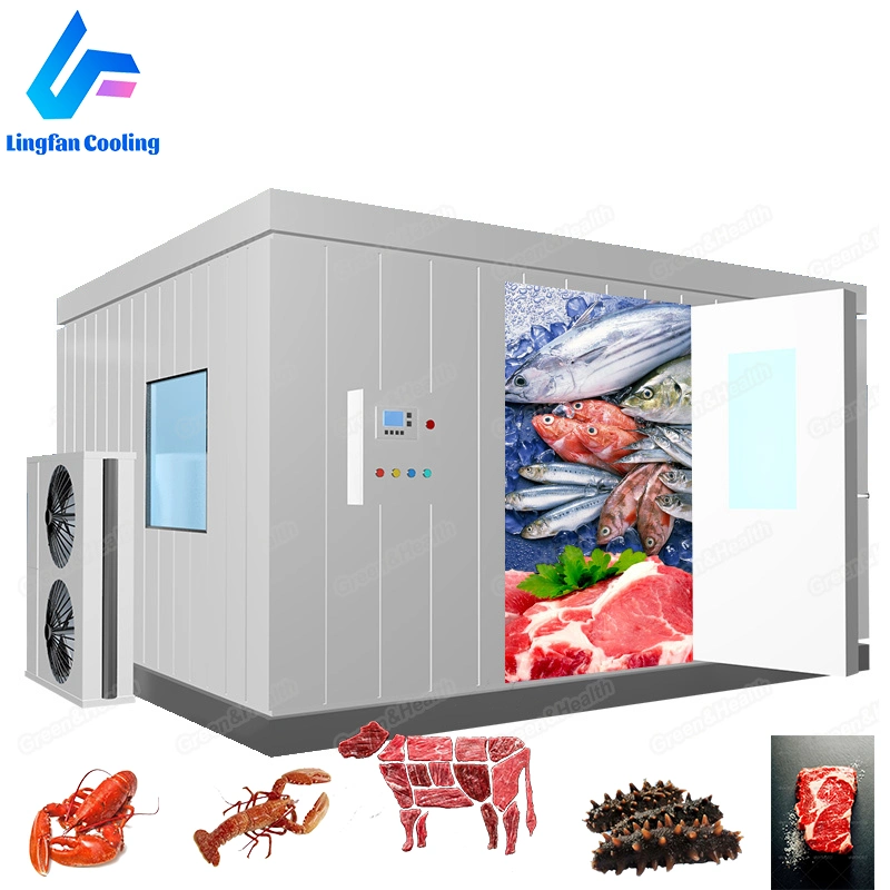 Beef Deep Freezer Cold Room Sea Fish Products Storage Fish Cold Storage