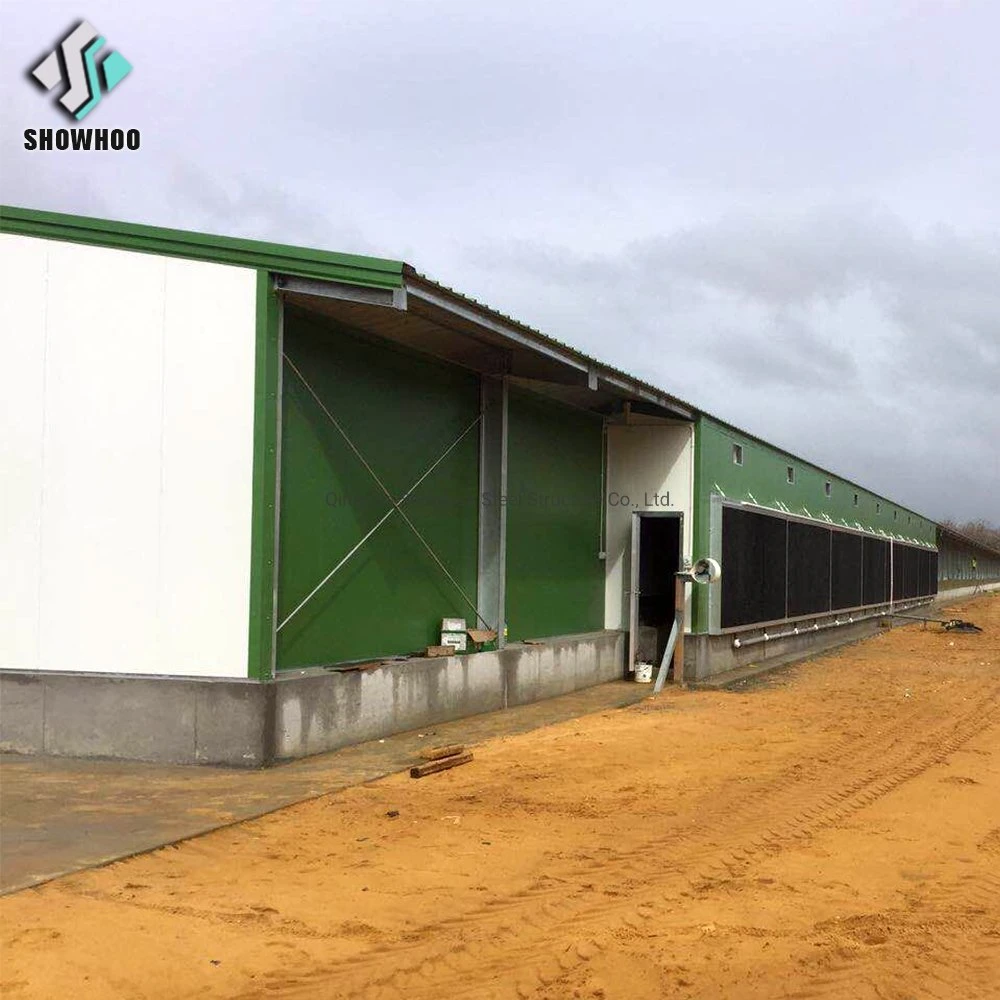 Automatische Vorgefertigte Stahl Frame Building Modern Chicken Farm Poultry House