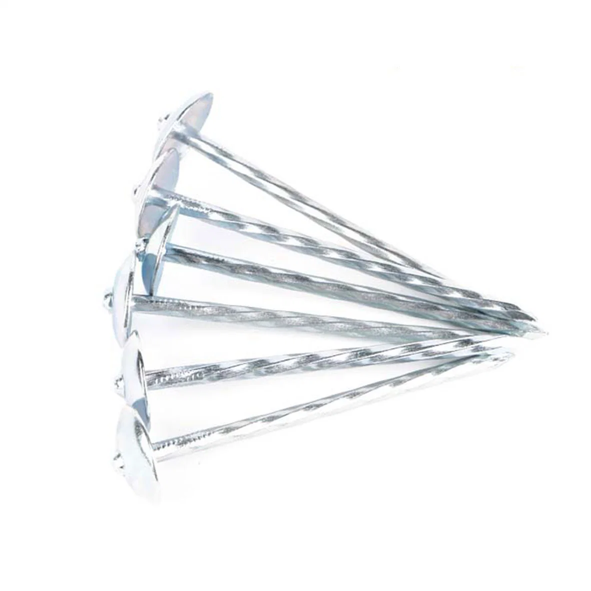 Iron White Zinc Plated Umbrella Head Twisted Nails for Roofing