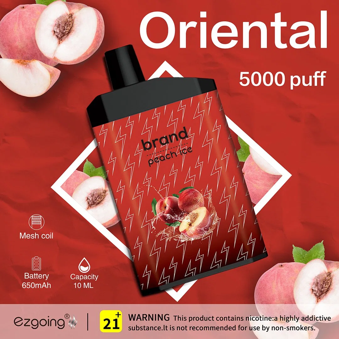 Nuevo diseño de moda batería de alta capacidad 5000 Puffs desechable VAPE Pod