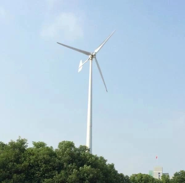 Fabricant chinois d'éoliennes éoliennes à vendre Générateur d'énergie éolienne Éolienne 10 kW 380V