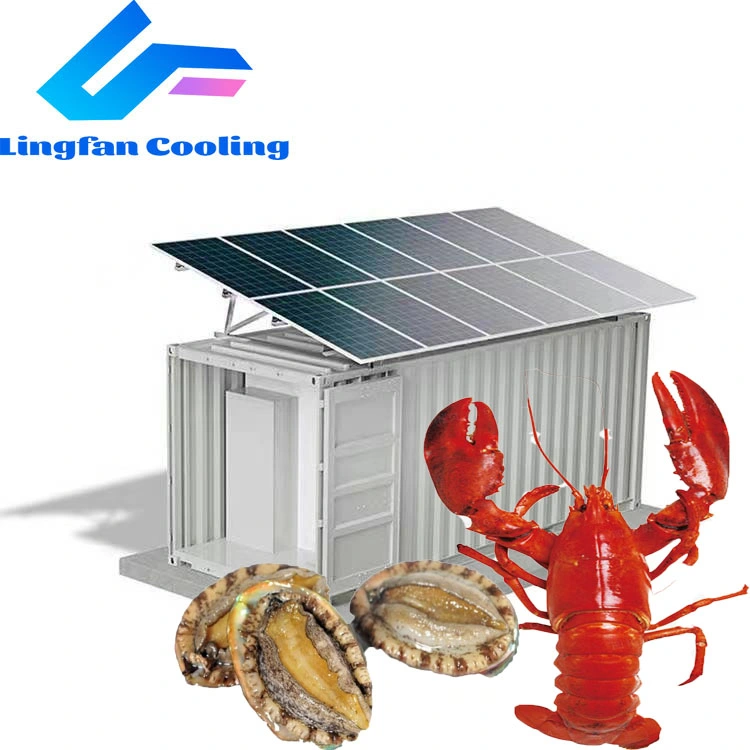 Customized Size 20FT Solar Power Container Freezer Chiller Cold Storage Room