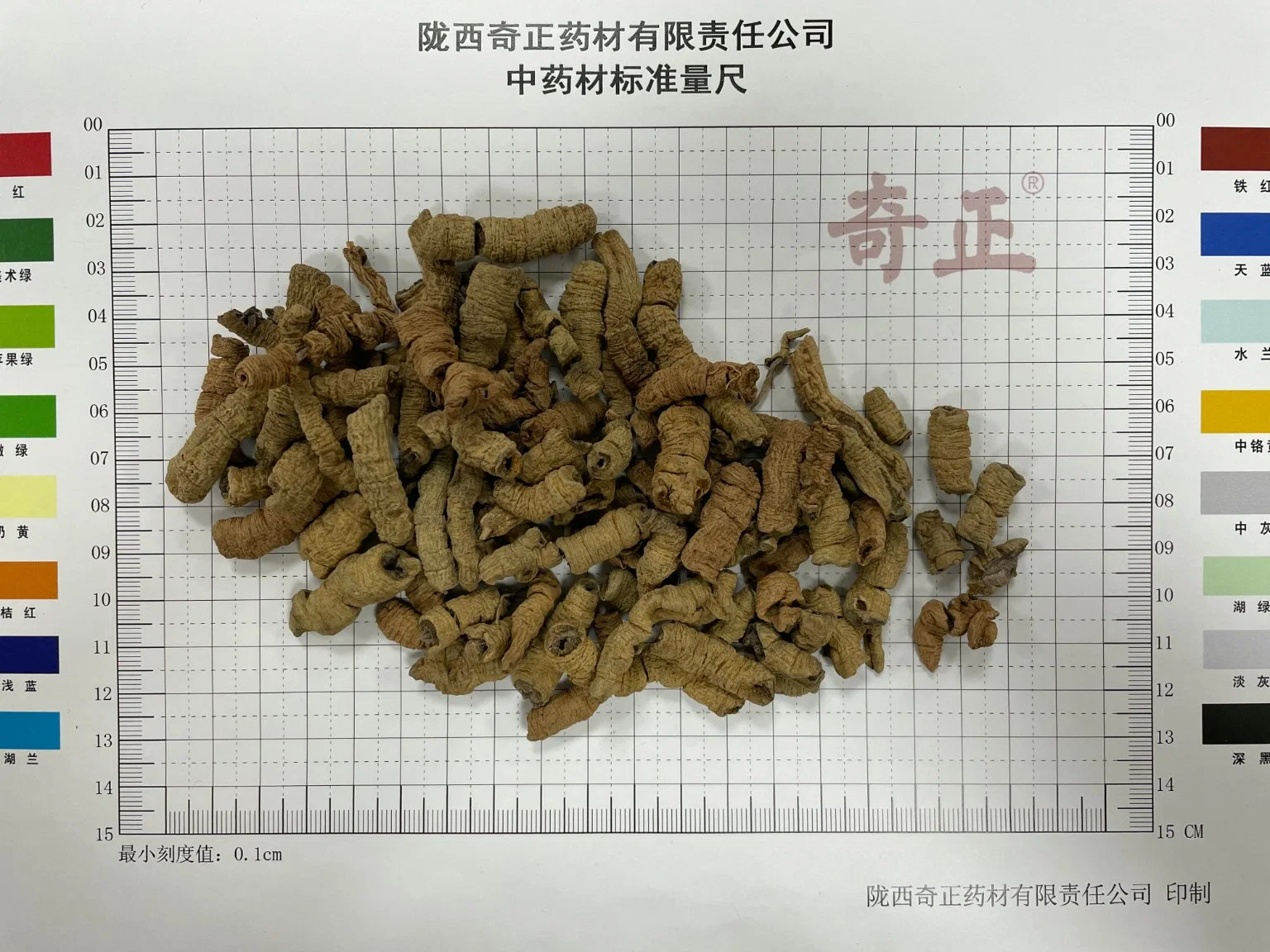 Bajitian Morindae officinalis radix Morinda Officinalis herbe traditionnelle chinoise de haute qualité