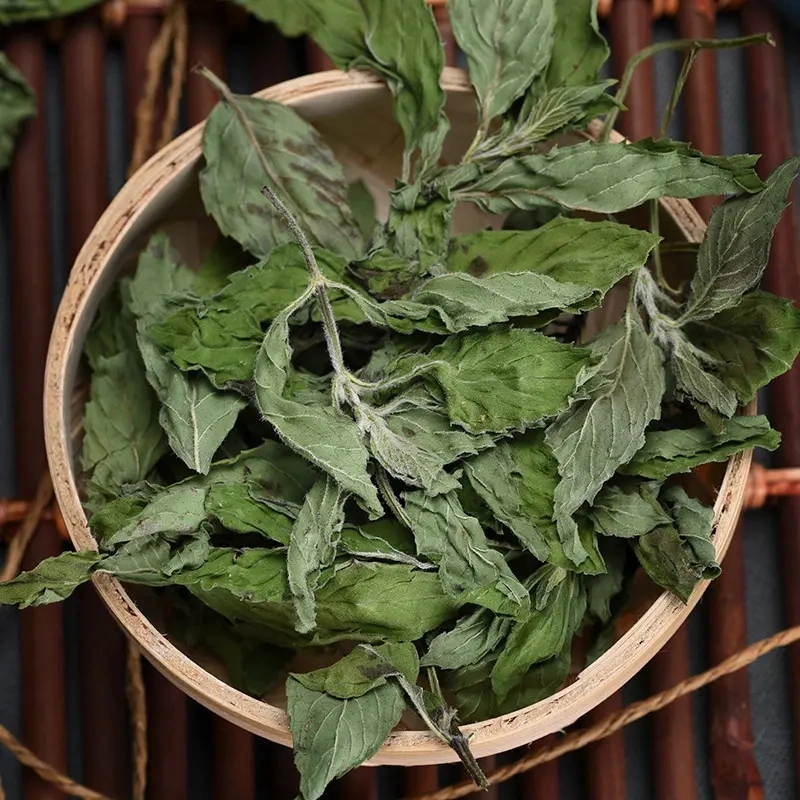 Factory Supply Peppermint Leaf Herbal Tea Good Quality Mint Leaf Herba Menthae